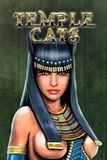 Temple Cats
